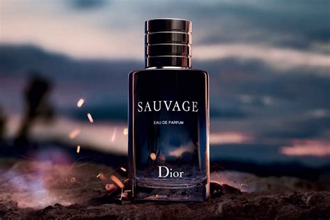 sauvage dior price|dior sauvage best price.